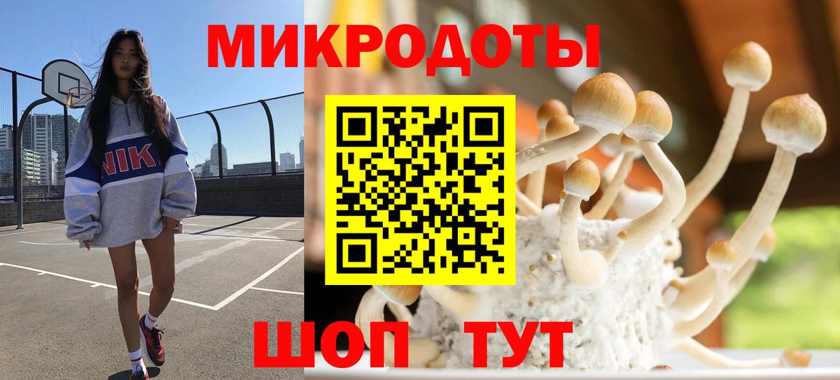 Псилоцибиновые грибы Magic Shrooms Луга