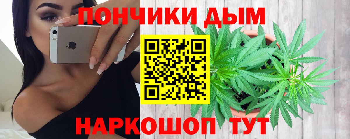 Альфа ПВП Луга